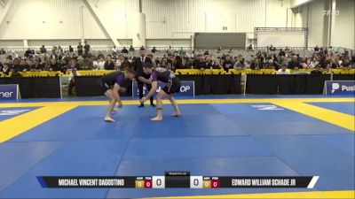 Edward William Schade Jr vs Michael Vincent Dagostino 2025 World IBJJF Jiu-Jitsu No-Gi Championship