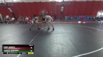 160 lbs Round 2 (4 Team) - Cody Deneys, Mount Horeb/Barneveld vs Patrick Downing, Glenbrook South 1