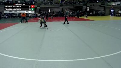 85 lbs Cons. Round 2 - Samuel Waldock, Little Falls vs Roman Anderson, Deer River