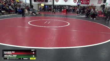 126 lbs Semifinal - Kaliber Fry, PCM, Monroe vs Mitchell Pins, Dubuque Hempstead