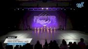 Dance Dynamics - Mini Elite Small Jazz [2025 Mini - Jazz - Small Day 2] 2025 Power Dance Grand Nationals