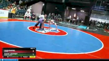 3 lbs Quarterfinal - Davin Lightsey, White County vs Juan Rafael, Gilmer