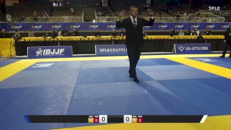 Andrew Martin Anderson vs Colin Daniel Savage 2026 Pan Jiu Jitsu IBJJF Championship