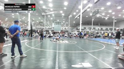 128 lbs Rr Rnd 3 - Nicholas Papiro, Anchor Down - HS vs Connor Schwanke, Downingtown West - HS