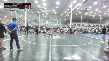 128 lbs Rr Rnd 3 - Nicholas Papiro, Anchor Down - HS vs Connor Schwanke, Downingtown West - HS