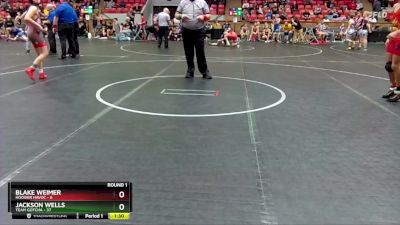 115 lbs Round 1 (4 Team) - Blake Weimer, Hoosier Havoc vs Jackson Wells, Team Gotcha