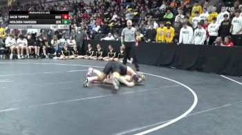 215 lbs Quarterfinal - Holden Hansen, Southeast Polk vs Jace Tippet, North Scott