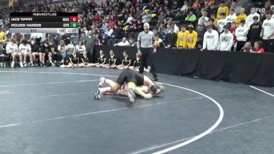 215 lbs Quarterfinal - Holden Hansen, Southeast Polk vs Jace Tippet, North Scott