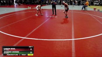 93 lbs Semifinal - Dominick Jackson, St. Peter vs Carson Besel, St. James