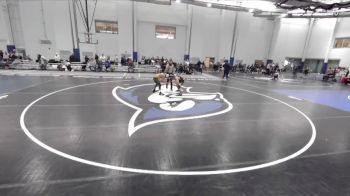 125 lbs Champ. Round 2 - Ethan Liptzin, Delaware Valley vs Ricky Dixon, McDaniel