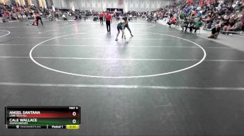 120 lbs Cons. Round 3 - Angel Santana, Lane Tech (IL) vs Cale Wallace, Ashwaubenon