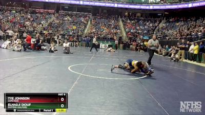 3A 113 lbs Semifinal - Elhadji Diouf, Eastern Guilford vs Tye Johnson, Cape Fear