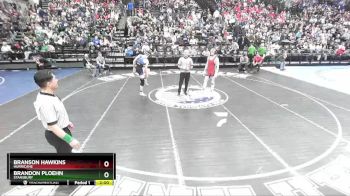 157 lbs Semifinal - Brandon Ploehn, Stansbury vs Branson Hawkins, Hurricane