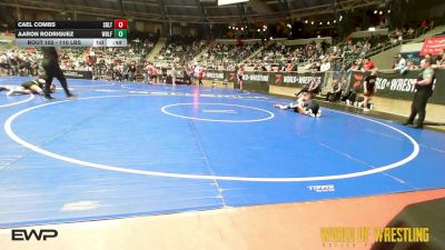 110 lbs Consolation - Cael Combs, Sebolt Wrestling Academy vs Aaron Rodriguez, Wolf Pack Wrestling Club TX