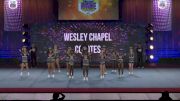 Wesley Chapel Coyotes [2022 Varsity Show Cheer 1] 2022 Pop Warner National Cheer & Dance Championship