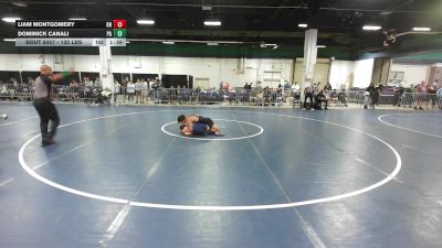 132 lbs Round Of 128 - Liam Montgomery, OH vs Dominick Canali, PA