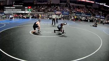 D 3 175 lbs Cons. Round 2 - Jackson Robertson, Albany vs David Akenji, Rosepine