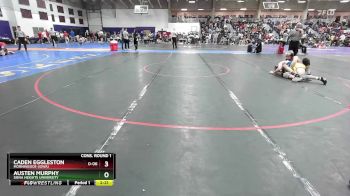 157 lbs Cons. Round 1 - Caden Eggleston, Morningside (Iowa) vs Austen Murphy, Siena Heights University