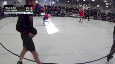 141 lbs Cons. Round 1 - Gavin Cheek, Nebraska Elite Wrestling Club vs Couy Tenopir, Big Red Wrestling Club