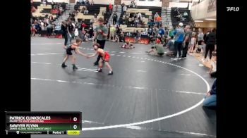 49 lbs Round 5 - Patrick Clinkscales, Palmetto State Wrestling vs Sawyer Flynn, James Island Youth Wrestling C