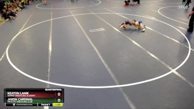 53 lbs Quarterfinal - Keaton Lanik, Summit Wrestling Academy vs Jaxon Cardinal, MN Elite Wrestling Club