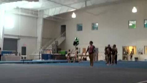 Level 9 WP Balance, Browns (Rodriguez, Crispin)