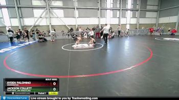 55-55 lbs Round 3 - Ayden Palomino, Washington vs Jackson Collett, Team Real Life Wrestling