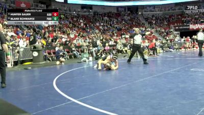 1A-165 lbs Cons. Round 2 - Hunter Sauer, Alburnett vs Blake Schwartz, Panorama