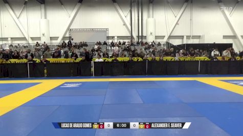 Lucas De Araujo Gomes vs Alexander F. Seaver 2024 World IBJJF Jiu-Jitsu No-Gi Championship