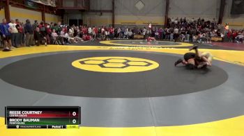 138 lbs Champ. Round 1 - Brody Bauman, Perrysburg vs Reese Courtney, Center Grove