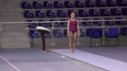 Ragan Smith (USA) Training Vault, Training Day 2 - 2018 City of Jesolo Trophy