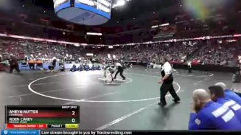 D3-106 lbs Semifinal - Amryn Nutter, Fennimore vs Roen Carey, Mineral Point