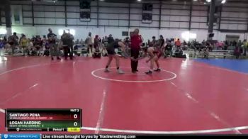 145 lbs Round 2 (6 Team) - Logan Harding, HEAVY HITTING HAMMERS vs Santiago Pena, SCANLAN WRESTLING ACADEMY