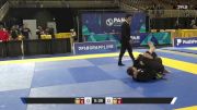 Alexander F. Seaver vs Andrew Corey Racine 2025 Pan Jiu Jitsu IBJJF Championship
