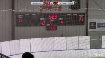 Replay: Home - 2024 Wild U18 AAA vs Thrashers U18 AAA | Feb 24 @ 3 PM