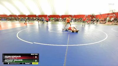 123-125 A Round 2 - Julian Gonzales, Albert Lea Area vs Anthony Williams, Cumberland