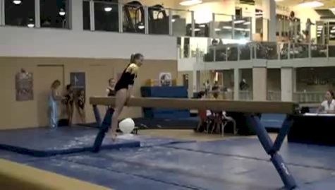 Gold Cup (Tory Wilson)