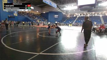 110 lbs Cons. Round 4 - Julie Gatto, Stafford vs Brianna Godshall, Upper Perkiomen