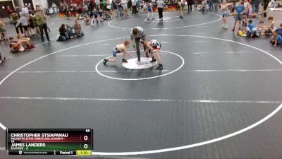 85 lbs Round 3 (3 Team) - Christopher Stsiapanau, Palmetto State Wrestling Academy vs James Landers, Eastside