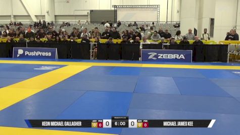 Michael James Kee vs Keon Michael Gallagher 2025 World IBJJF Jiu-Jitsu No-Gi Championship