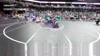 98 lbs Consi Of 16 #2 - Kansas Swan, SEK Elite vs Yanelis Fortier, Honey Badger WC