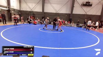 144 lbs Cons. Round 5 - Tatum Todd, MT vs Aiden Chur, CA