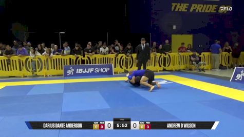 Andrew D Wilson vs Darius Dante Anderson 2025 Pan IBJJF Jiu-Jitsu No-Gi Championship