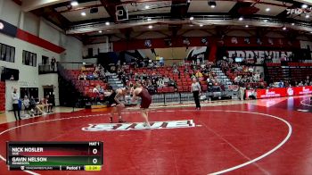 197 lbs Semifinal - Gavin Nelson, Minnesota vs Nick Nosler, SIUE