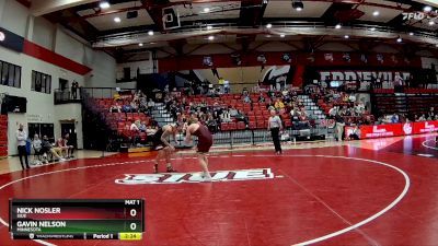 197 lbs Semifinal - Gavin Nelson, Minnesota vs Nick Nosler, SIUE