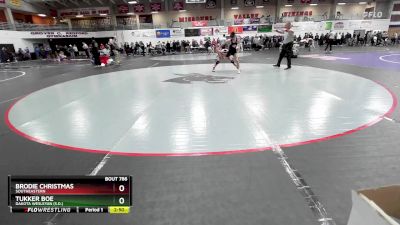 125 lbs Cons. Round 4 - Tukker Boe, Dakota Wesleyan (S.D.) vs Brodie Christmas, Southeastern