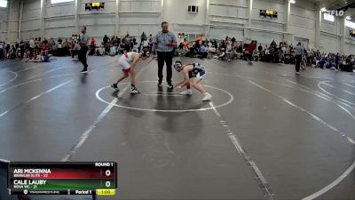 84 lbs Round 1 (8 Team) - Cale Lauby, NOVA WC vs Ari McKenna, Brawler Elite