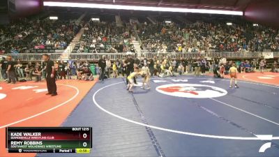 53 lbs Semifinal - Remy Robbins, Southwest Wolverines Wrestling vs Kade Walker, Diamondville Wrestling Club