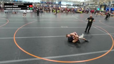 113 lbs Champ. Round 2 - Connor Bagdonas, Perrysburg vs Nicholas Freeze, Unattached