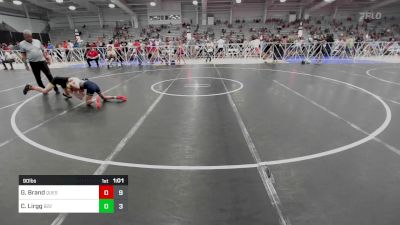 90 lbs Rr Rnd 1 - Gavin Brand, Quest School Of Wrestling MS vs Carter Lirgg, Team 922